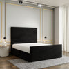 Black Plush