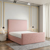 Baby Pink Teddy