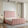 Baby Pink Teddy