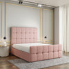 Baby Pink Teddy