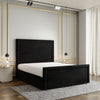 Black Plush