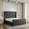 Steel Grey Plush