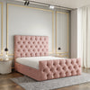 Baby Pink Teddy