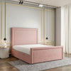 Baby Pink Teddy